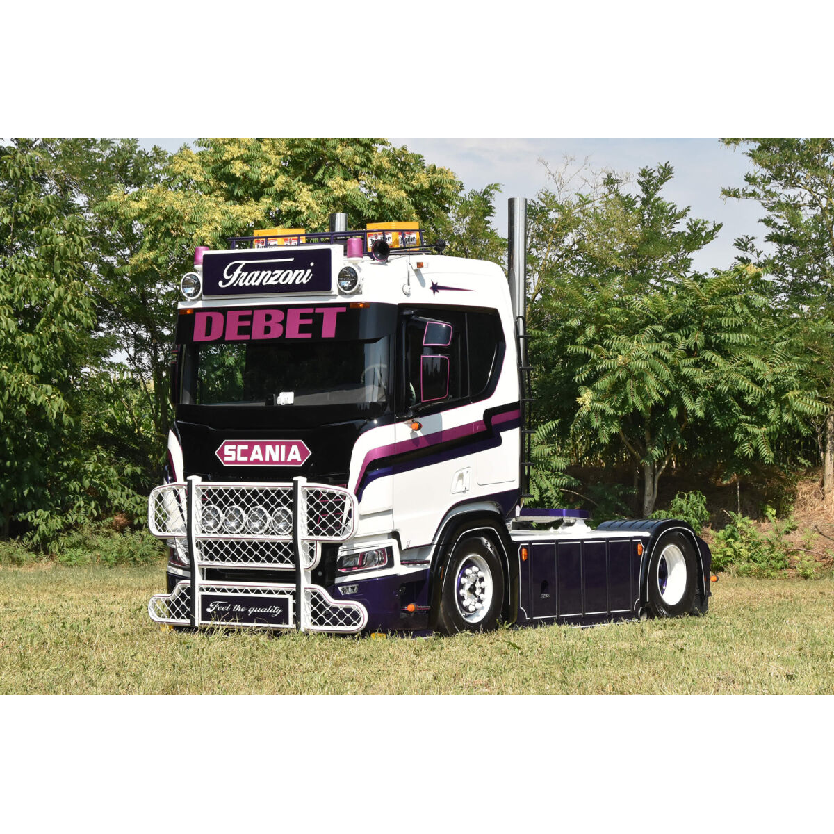 01-5696 - WSI - Scania R N 4x2 Zugmaschine - Franzoni - IT